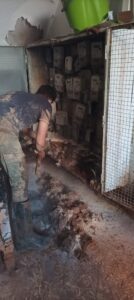 Aitor Abellán Electricidad Villena especial dana